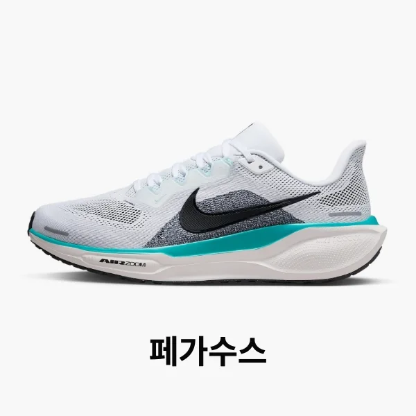 페가수스